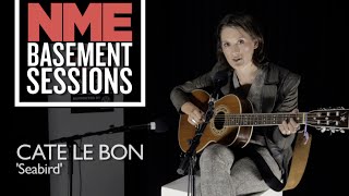 Cate Le Bon Covers The Alessi Brothers' 'Seabird' - NME Basement Sessions