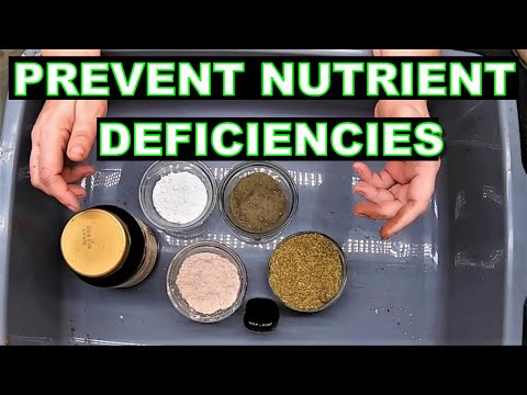 Worm Bedding can STOP  Nutrient Deficiencies in your Garden - Red Wigglers