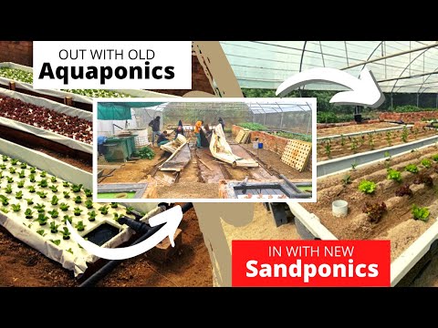 Sandponics   Part 1:   Out with the Old Aquaponics and in with the New Sandponics : 2021