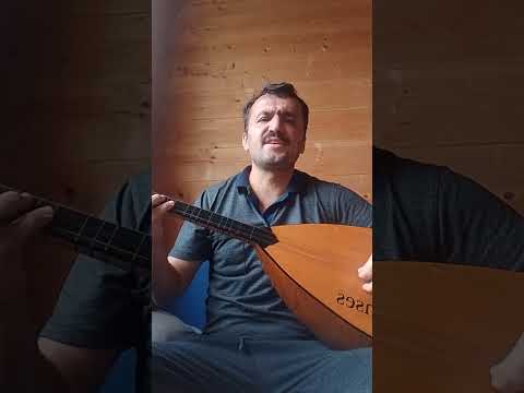 GELDİM GÖRDÜM GİDİYORUM.          Söz & Müzik.         Aziz Şirinses