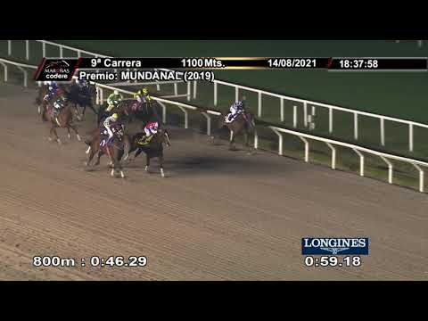 210814 c09 PELITEETH