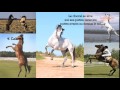 Default Wideo Copy By Wideo Co