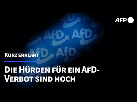 Die AfD verbieten? Die Hürden sind hoch | AFP