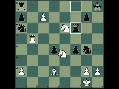 Wilhelm Steinitz vs Harry Nelson Pillsbury | St. Petersburg 1895