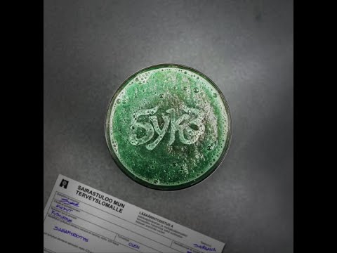 Syke - Sairastuloo Mun Terveyslomalle