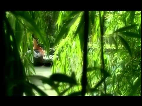 Armenuhi Seyranyan - Անուշի երգը "Անուշ" օպերայից