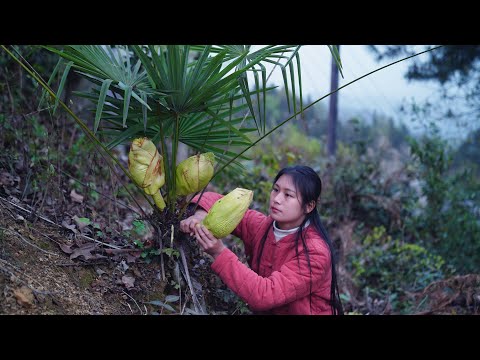 Cooking with Wild Ingredients from the Mountain