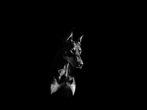 (FREE) Future x Drake Type Beat (HARD) - "BOSS"