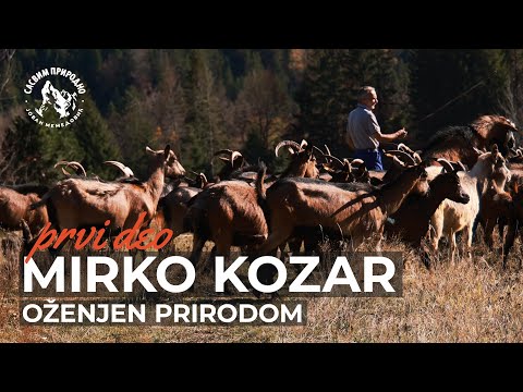 SASVIM PRIRODNO: Mirko kozar 1. deo