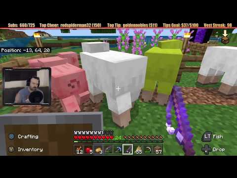 Minecraft "Chill Stream" May 25, 2020 pt1 - A Sheepy Disaster!
