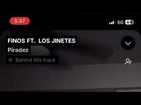 FINOS FT. LOS JINETES / piradez