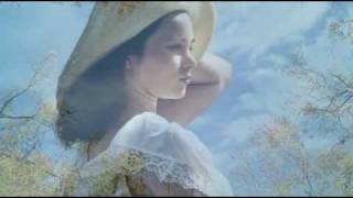 Ronnie Milsap - Lost In the 50&#39;s Tonight - In the Still of the Night