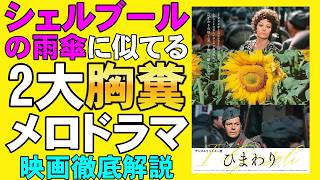 映画『ひまわり』ツッコミどころ満載の胸糞？【ソフィア・ローレン マルチェロ・マストロヤンニ ヴィットリオ・デ・シーカ 映画レビュー 考察 興行収入 興収 filmarks】