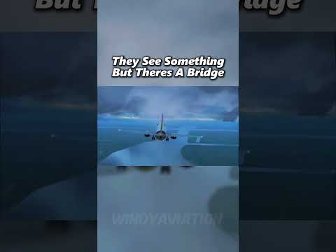 The Best Emergency Landing Part 4 TACA 110 #Aviation #crash #edit #plane #Avgeek