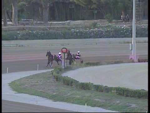 1^ PROVA DI QUALIFICA   del 29 GIUGNO 2016  Mt.1600 (2 Anni)