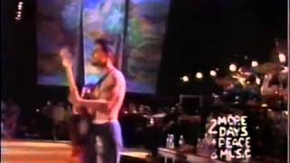 Red Hot Chili Peppers Organic Anti-Beat Box Band Live Woodstock 94