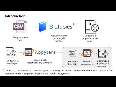 Appyters: Turning Jupyter Notebooks into Data Driven Web Apps