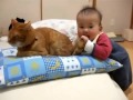 The Baby Bite Cat S Tail So Cute