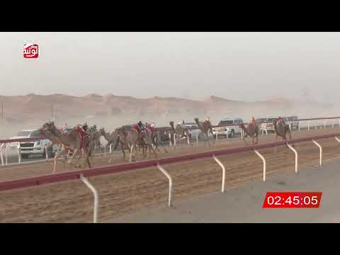 3 alsaad