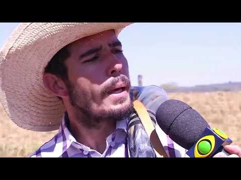 Perguntas pro Serjão Berranteiro