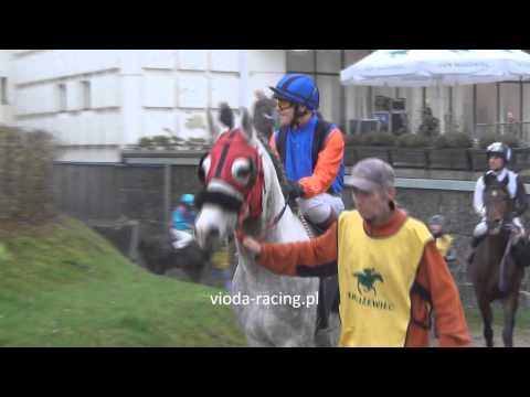 Gon. IV - 24.11.2013 - Ganima (Sansal - Gruida)