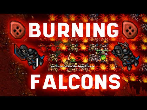TIBIA DUO RP 300+ CHARM FALCON BASTION