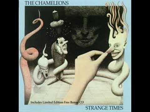 Paradiso - The Chameleons