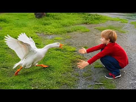 The Best Moments of Animal Loyalty to Their Owners After Years of Absence ❤️