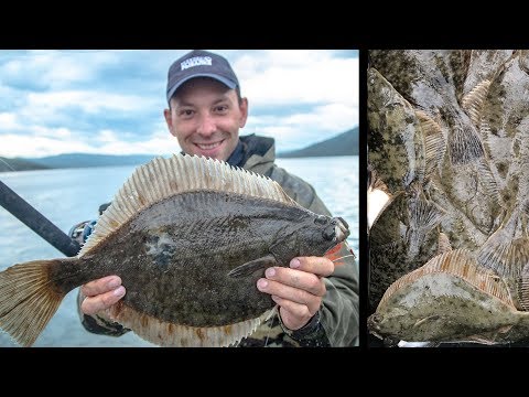 Фото Ловля КАМБАЛЫ на ультралайт! Большое семейное рыболовное путешествие на СЕВЕР!