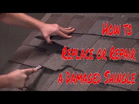 Part of a video titled How to Replace or Repair a Damaged Shingle by RoofingIntelligence.com
