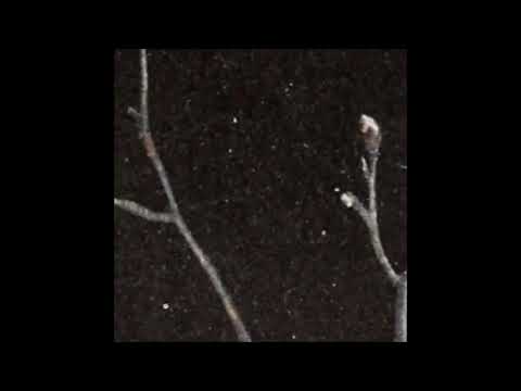 43. Arthrn - no home [03.02.2018]