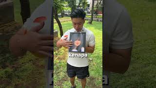 Download lagu perjuangan ibu kurang mampu mp3 Download lagu perjuangan ibu kurang mampu mp3