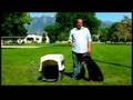 Dog Training Tips : How to Potty-Train Your Dog ...