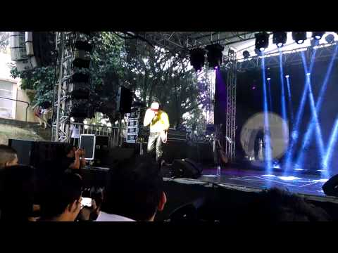 Anime Dreams 2014 - Musica em portugues do Saint Seya