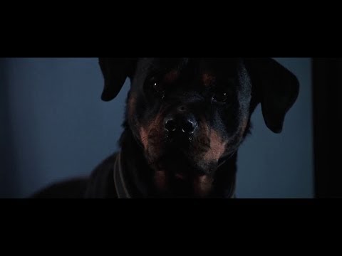 Lethal Weapon 3 - Rottweiler scene