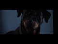 Lethal Weapon 3 Rottweiler Scene