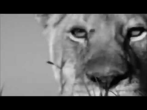 Kill Your Boyfriend - Ulrich (Official Video)