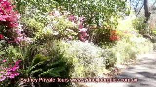 preview picture of video 'Rhododendron Garden in Blue Mountains   Private Tour'