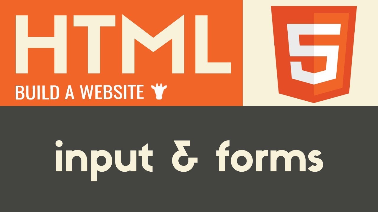 Input & Forms | HTML | Tutorial 14
