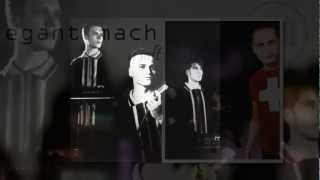 Elegant Machinery │ Firm