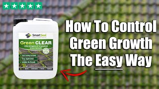 How To Control Moss and Algae like an Expert and Prevent Re-Growth