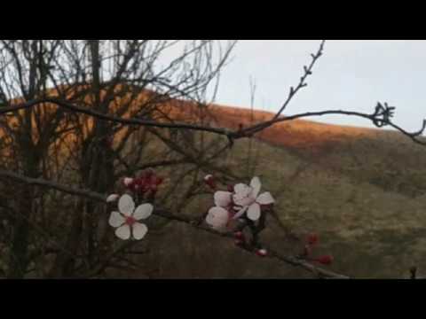 Un minuto per te - Tempo di trasfigurazione