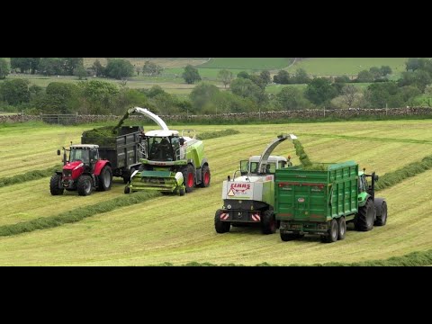 Silage '20 - Two Choppers on the Fells. Claas 850 and 950.