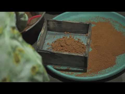 Arenga Palm Sugar |  Gula Aren