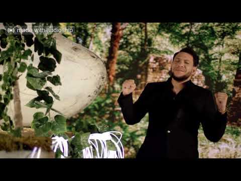 Leo de la Rosiori & Bursuc Piticu - Tu fara mila si fara suflet