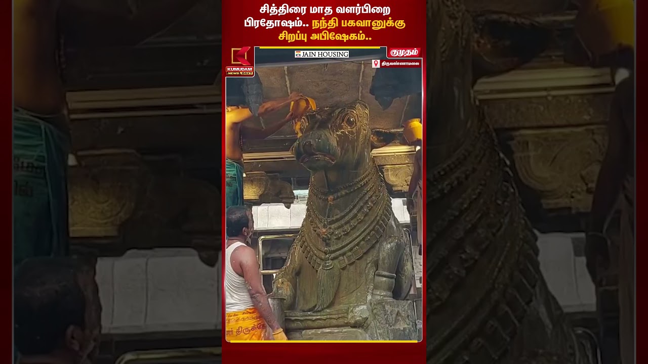 சித்திரை மாத பிரதோஷத்தையொட்டி நந்தி பகவானுக்கு சிறப்பு அபிஷேகம் | Kumudam News