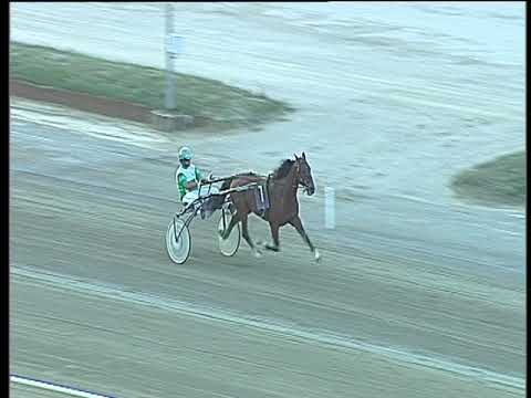 Trotto 12/09/2017 - Prova di riqualifica