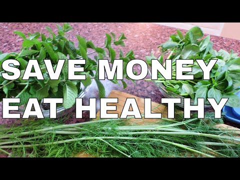 HOW TO FREEZE AND PRESERVE FRESH HERBS | $ave Money | Eat Healthy | NO Machines Needed