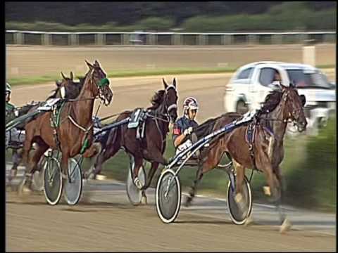 Trotto 30/07/2016 - 1° corsa - II°TRIS