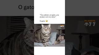 Qual seria sua reação #memes #humor #comedia #engraçado